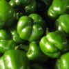 Combo Vegetales